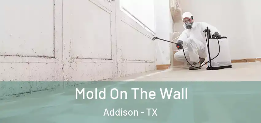  Mold On The Wall Addison - TX