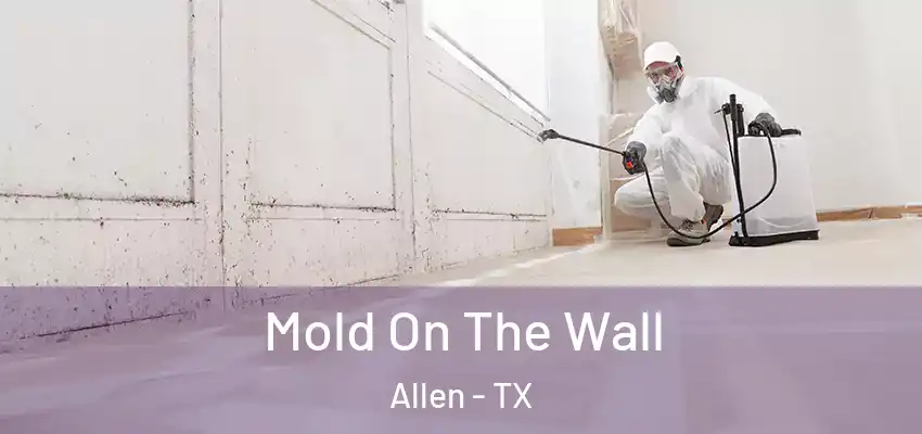  Mold On The Wall Allen - TX
