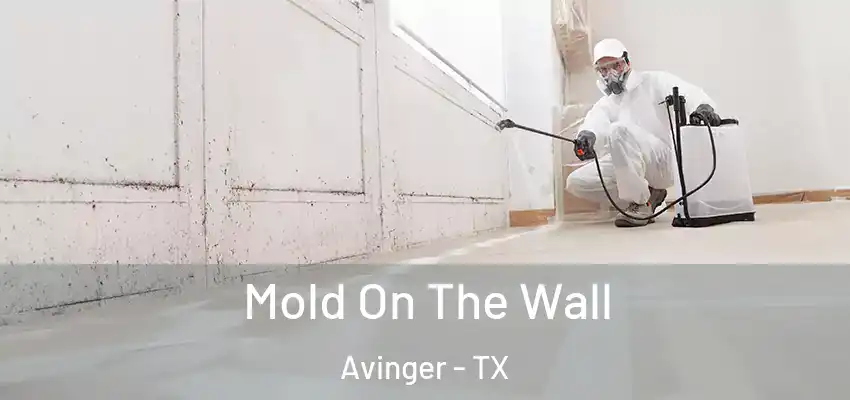 Mold On The Wall Avinger - TX
