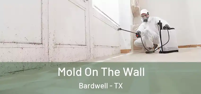 Mold On The Wall Bardwell - TX