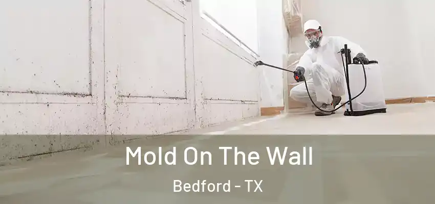  Mold On The Wall Bedford - TX