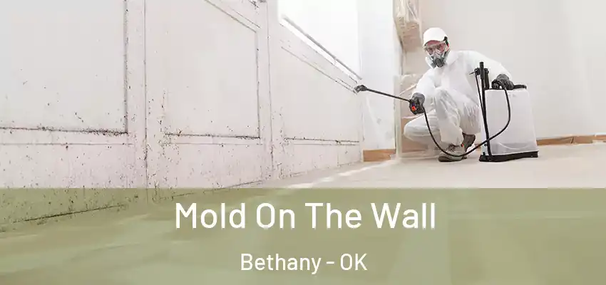  Mold On The Wall Bethany - OK