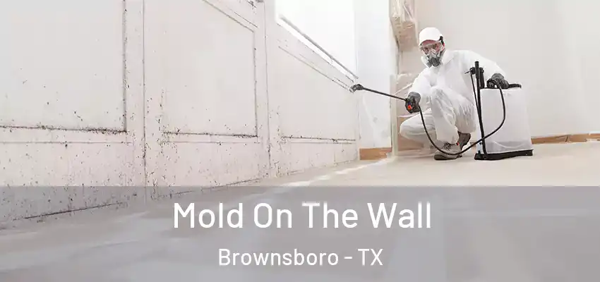  Mold On The Wall Brownsboro - TX