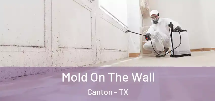  Mold On The Wall Canton - TX