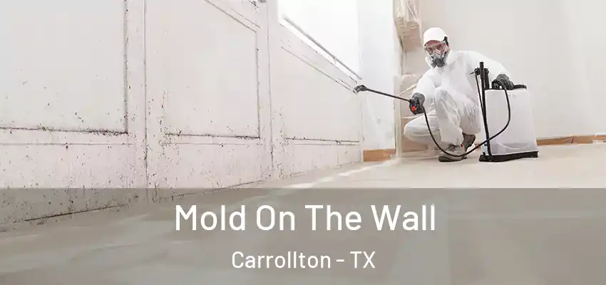 Mold On The Wall Carrollton - TX