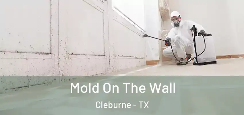  Mold On The Wall Cleburne - TX