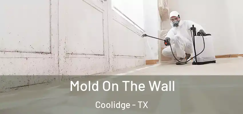 Mold On The Wall Coolidge - TX