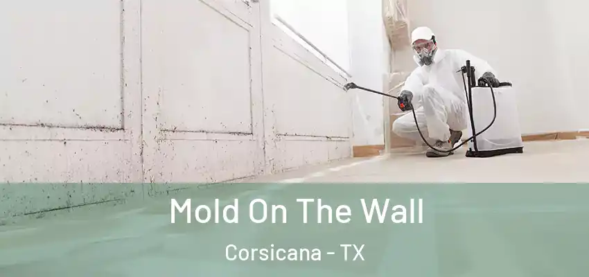  Mold On The Wall Corsicana - TX