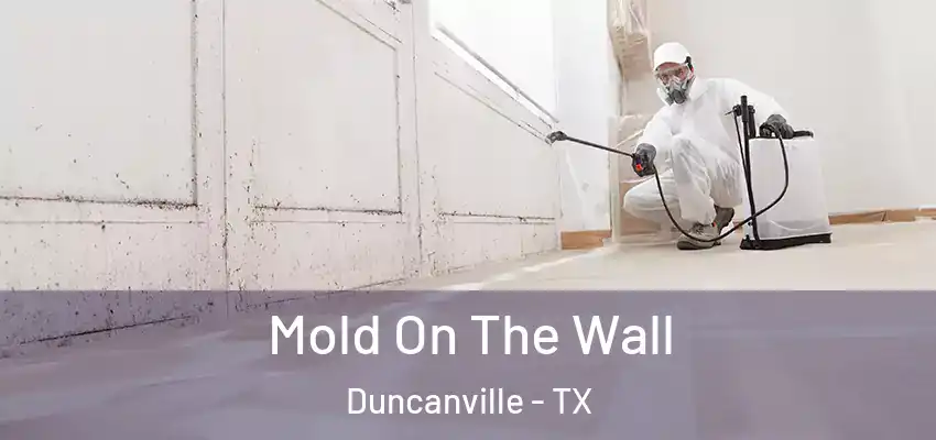  Mold On The Wall Duncanville - TX