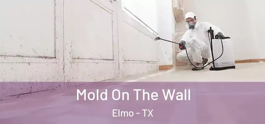 Mold On The Wall Elmo - TX