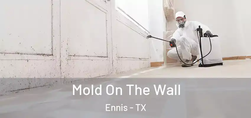 Mold On The Wall Ennis - TX