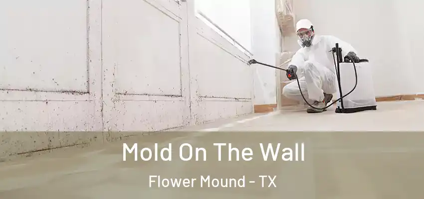  Mold On The Wall Flower Mound - TX