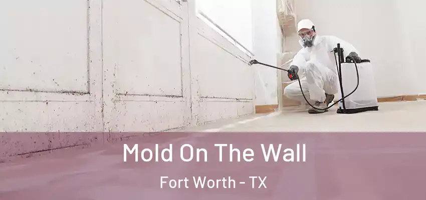 Mold On The Wall Fort Worth - TX