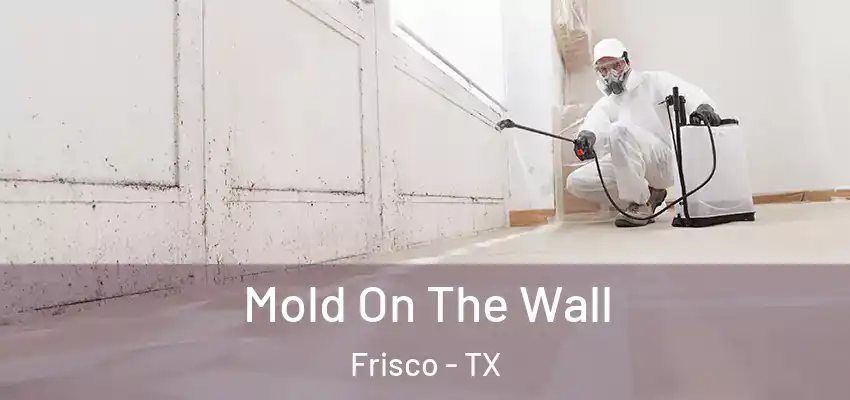  Mold On The Wall Frisco - TX