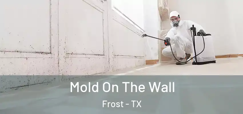  Mold On The Wall Frost - TX