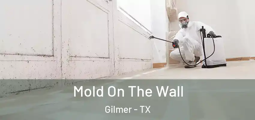 Mold On The Wall Gilmer - TX