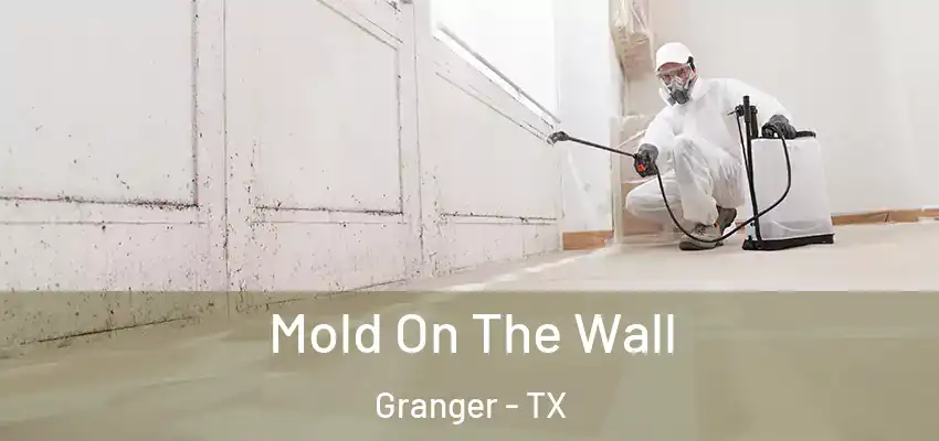Mold On The Wall Granger - TX