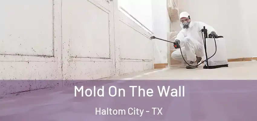  Mold On The Wall Haltom City - TX