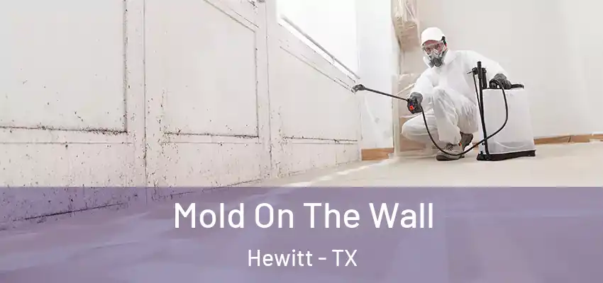 Mold On The Wall Hewitt - TX