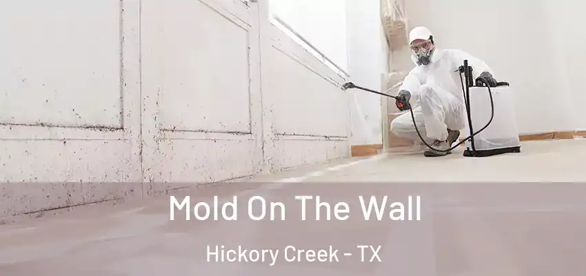  Mold On The Wall Hickory Creek - TX