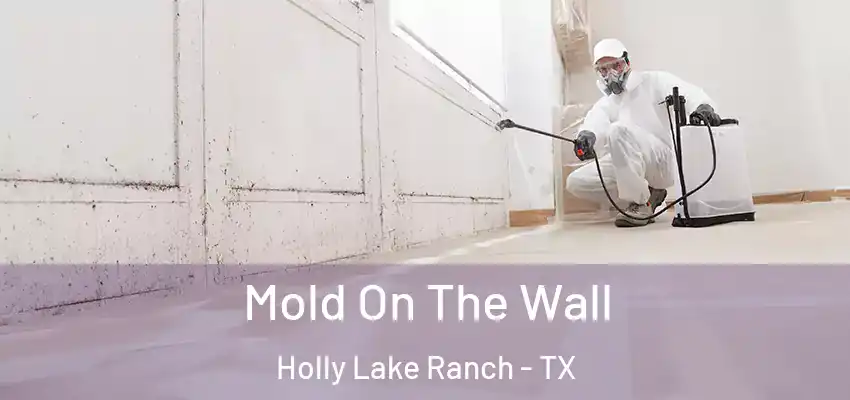  Mold On The Wall Holly Lake Ranch - TX
