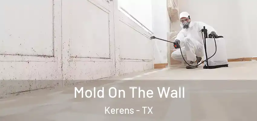  Mold On The Wall Kerens - TX