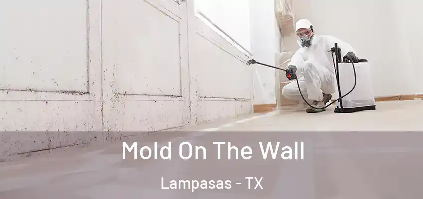  Mold On The Wall Lampasas - TX
