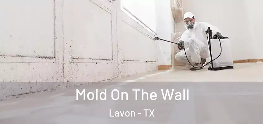 Mold On The Wall Lavon - TX