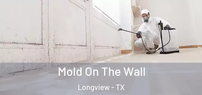  Mold On The Wall Longview - TX