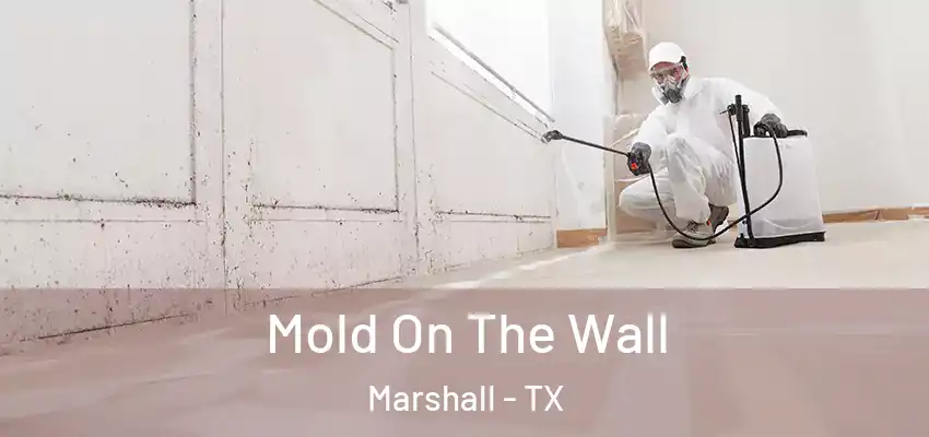 Mold On The Wall Marshall - TX