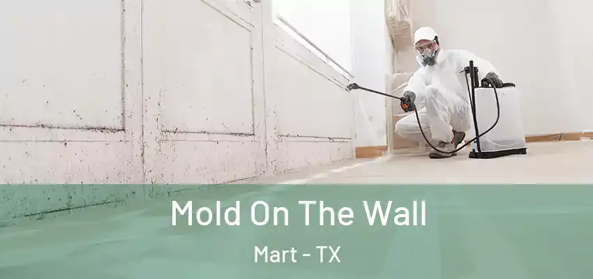 Mold On The Wall Mart - TX