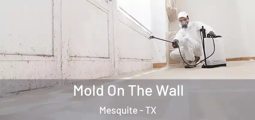  Mold On The Wall Mesquite - TX
