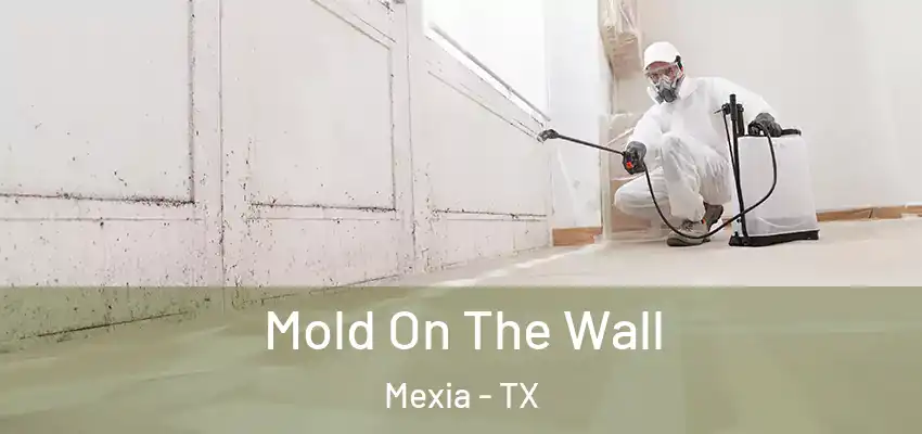 Mold On The Wall Mexia - TX