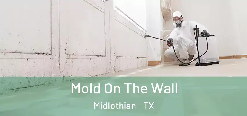  Mold On The Wall Midlothian - TX
