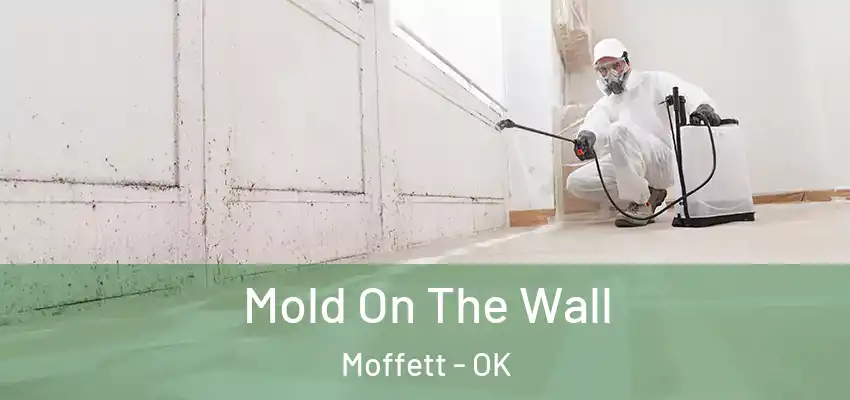 Mold On The Wall Moffett - OK
