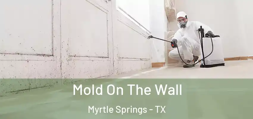  Mold On The Wall Myrtle Springs - TX