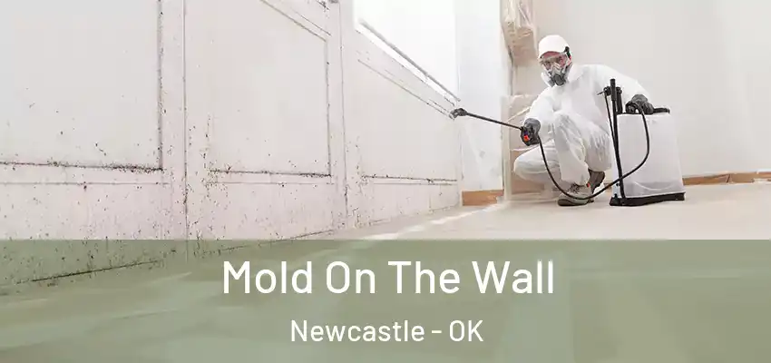 Mold On The Wall Newcastle - OK
