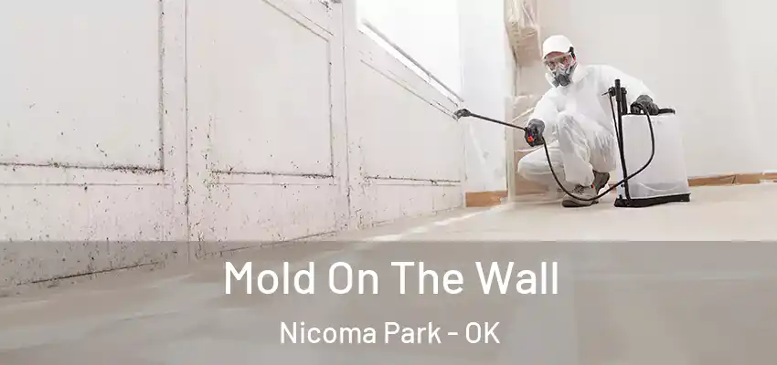  Mold On The Wall Nicoma Park - OK