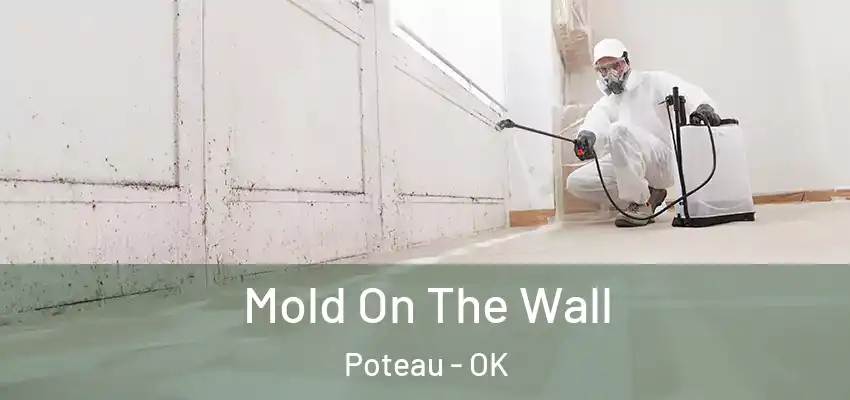 Mold On The Wall Poteau - OK