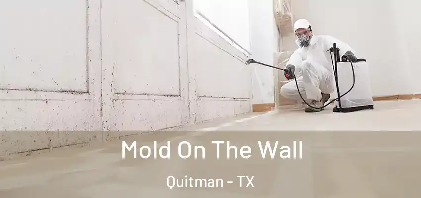 Mold On The Wall Quitman - TX