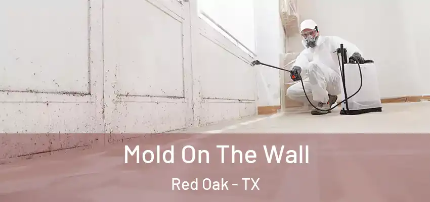  Mold On The Wall Red Oak - TX