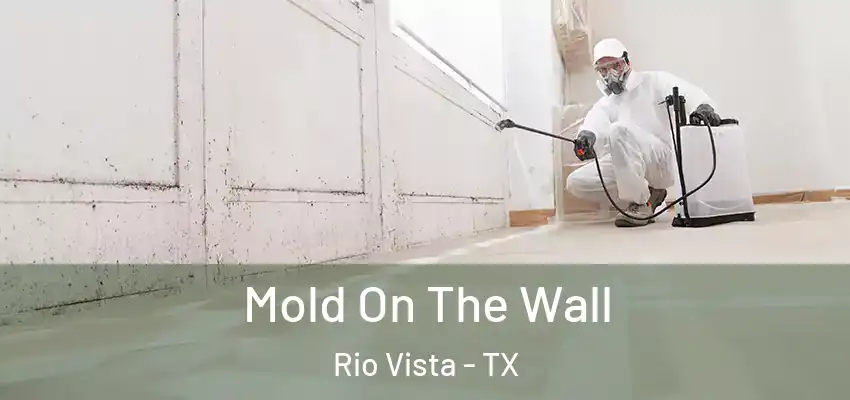  Mold On The Wall Rio Vista - TX