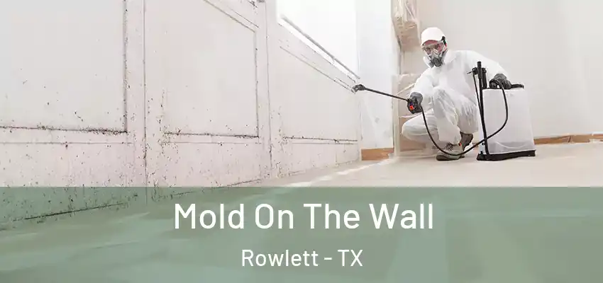 Mold On The Wall Rowlett - TX