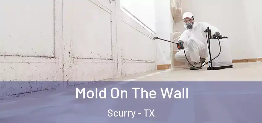  Mold On The Wall Scurry - TX