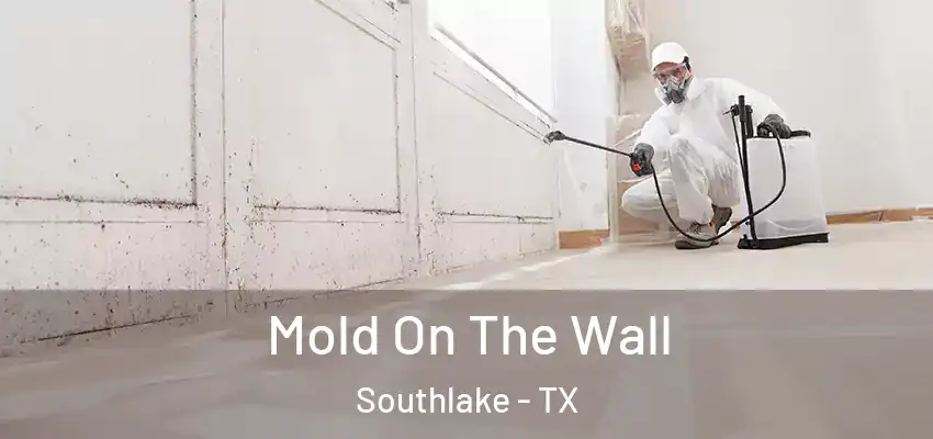  Mold On The Wall Southlake - TX