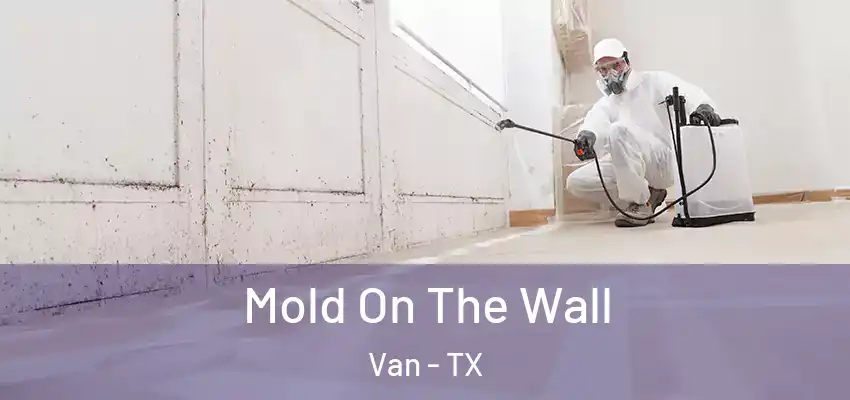 Mold On The Wall Van - TX