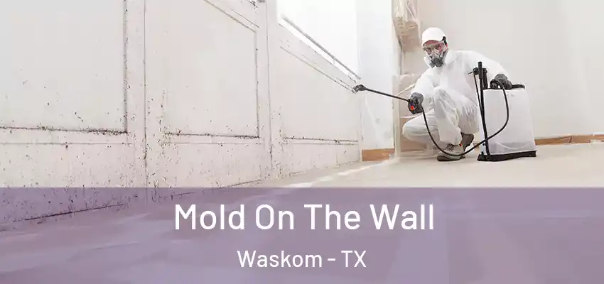 Mold On The Wall Waskom - TX