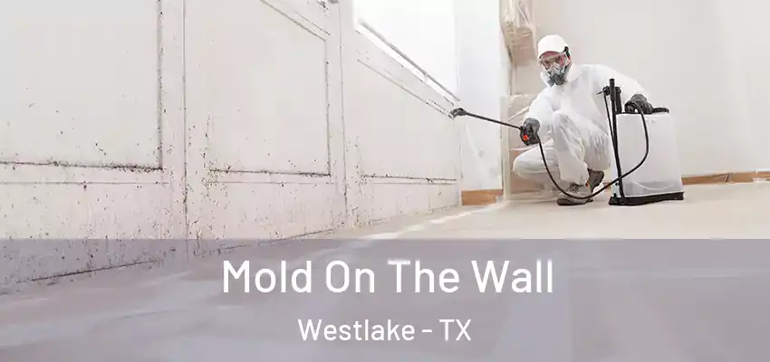 Mold On The Wall Westlake - TX