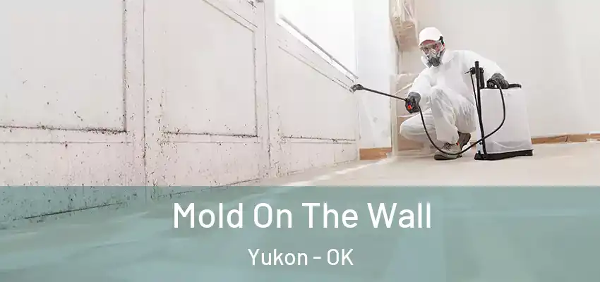 Mold On The Wall Yukon - OK