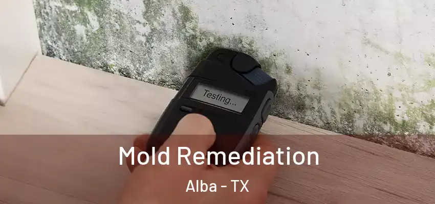  Mold Remediation Alba - TX